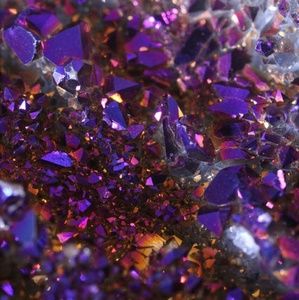 Meet your Posher, Shari